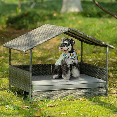 kennels